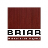 Логотип BRIAR