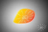 sun bag