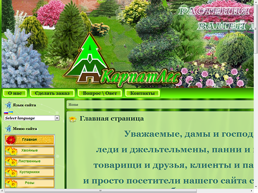 Растения в Вашем доме