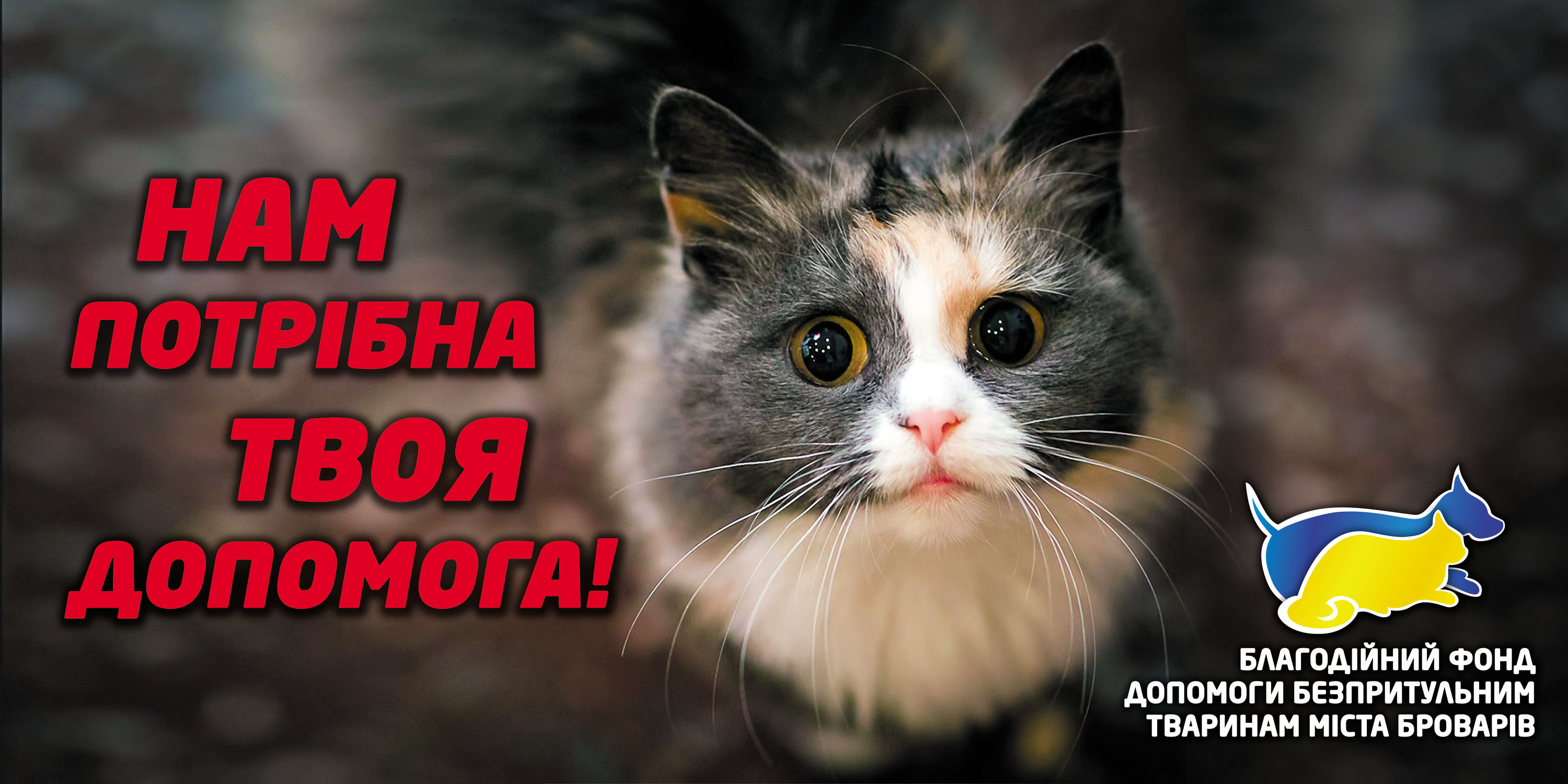 Благотворительные борды.