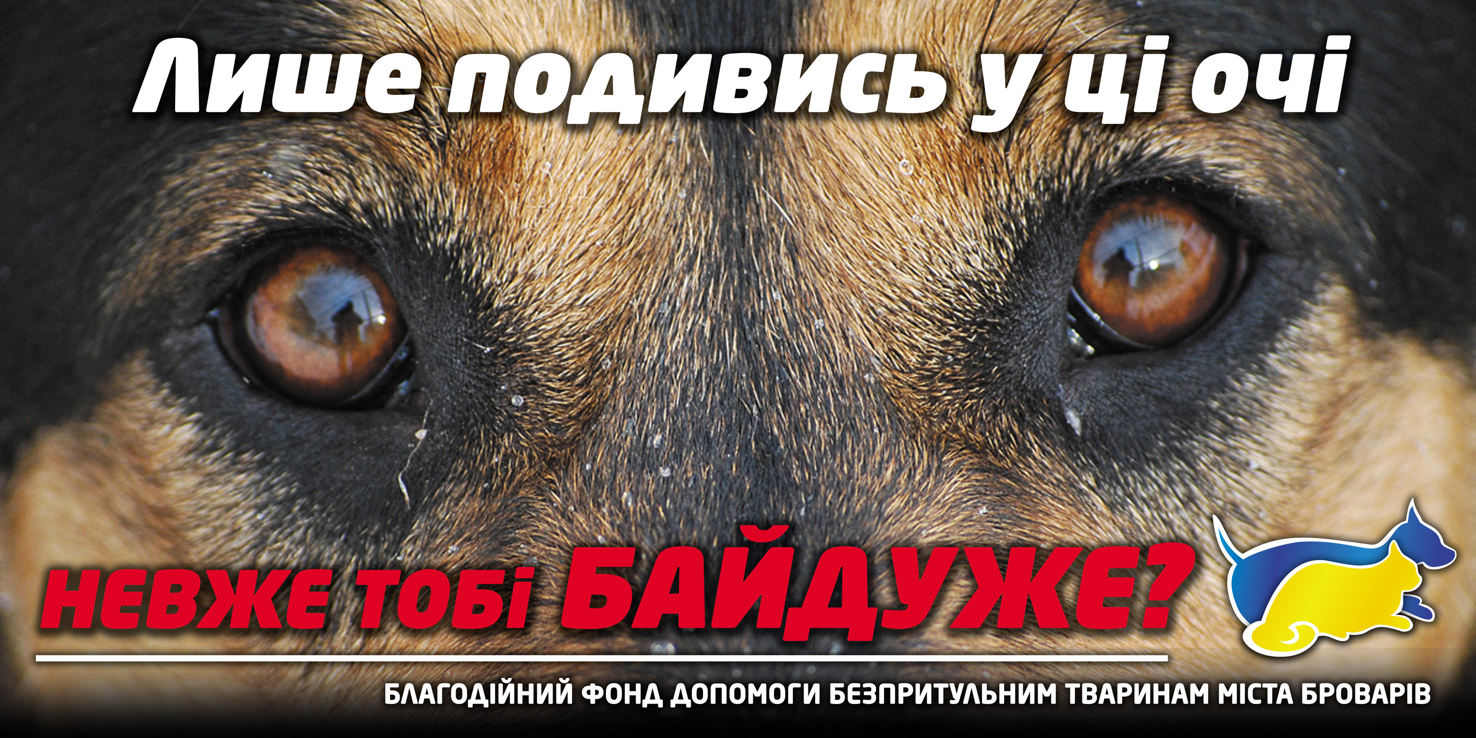 Благотворительные борды.