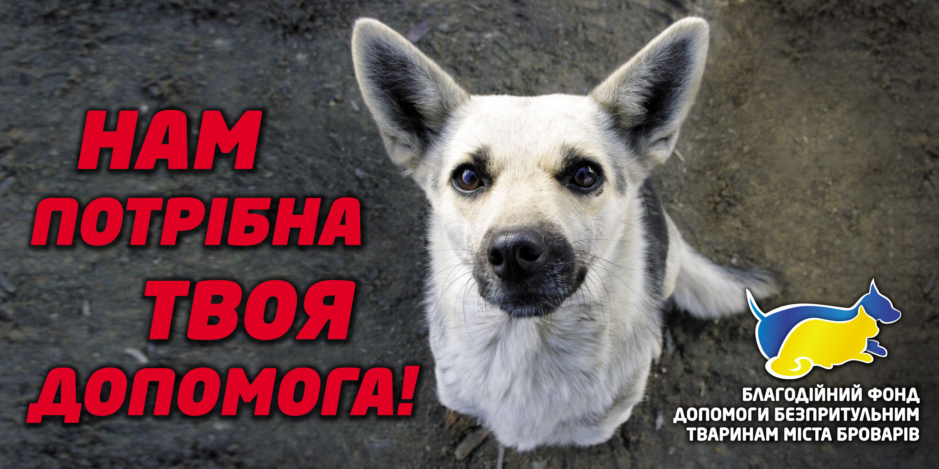 Благотворительные борды.
