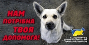 Благотворительные борды.
