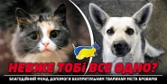 Благотворительные борды.