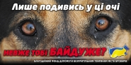 Благотворительные борды.