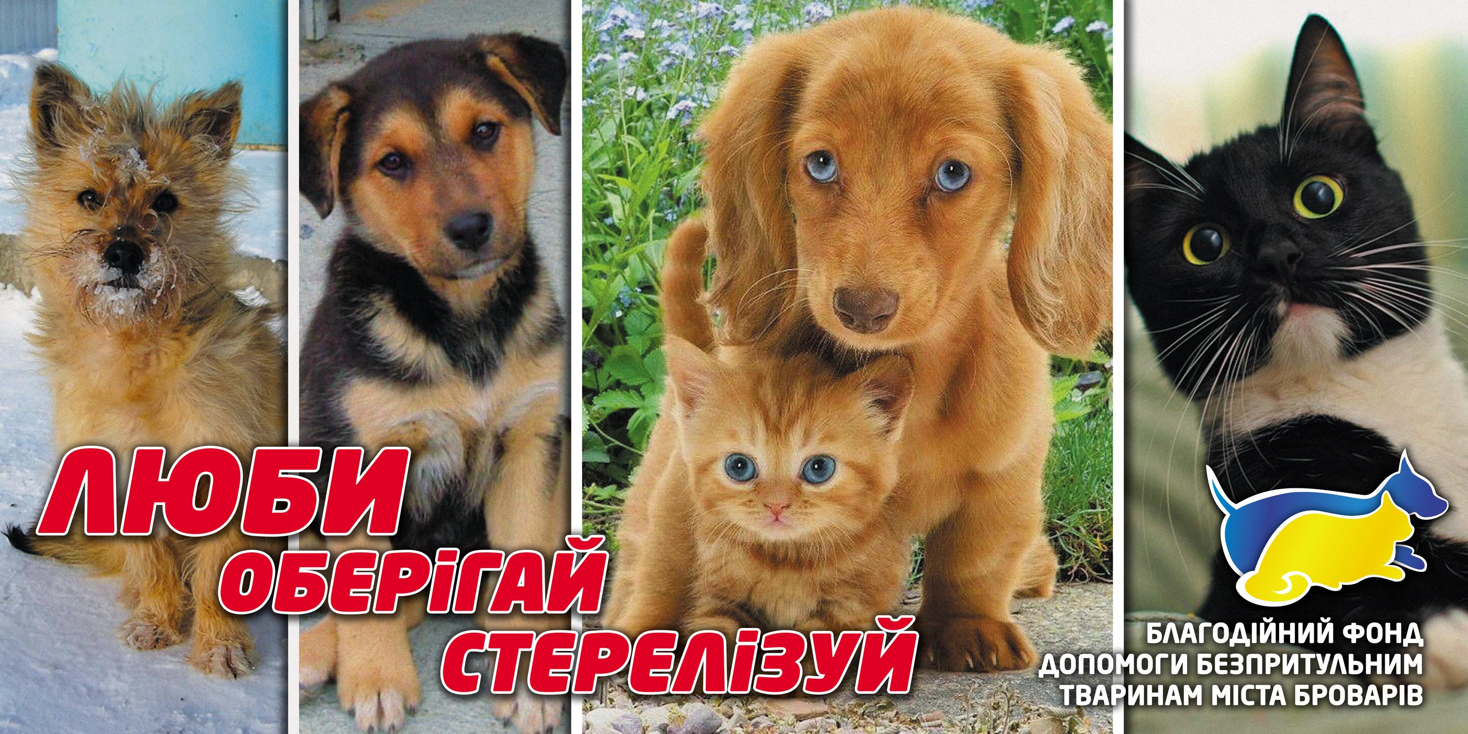 Благотворительные борды.