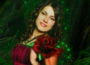 Индивидуальный заказ № 4