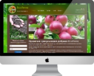 Сайт компании EcoTerra