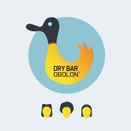 DRY BAR