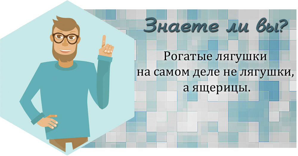 Шаблон для паблика цитаты в ВК