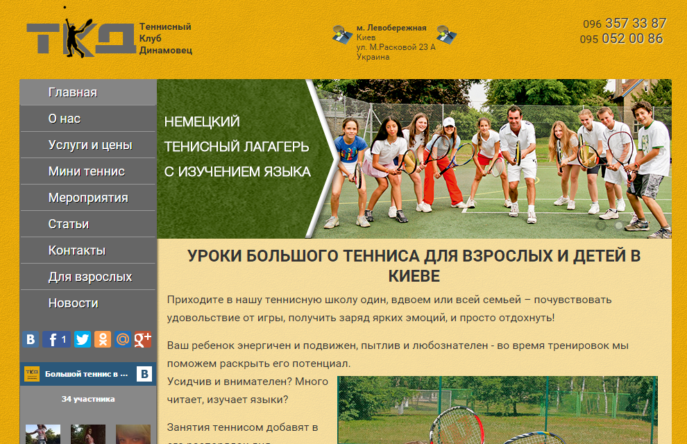 Профессиональная Настройка Adwords и Директ