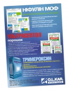 Листовка а4   	 
