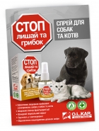 Листовка а4   	 
