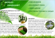 Пример дизайна флаера (контакты на обратной стороне)