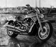 Harley Davidson