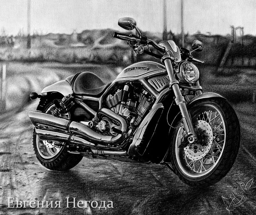 Harley Davidson