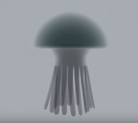 Jellyfish