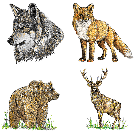 векторный реализм 