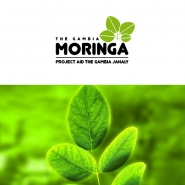 Логотип для компании Moringa