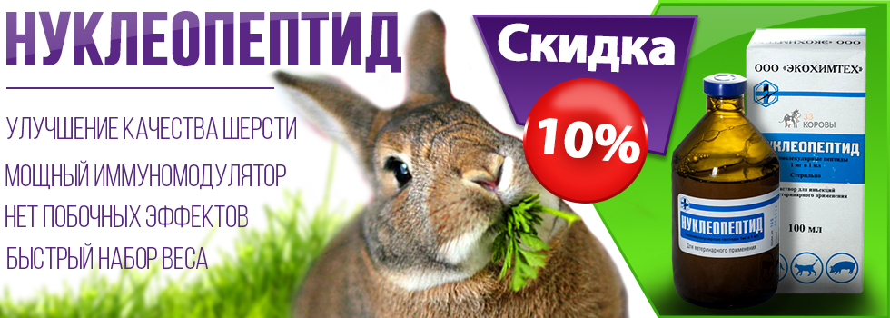 банер