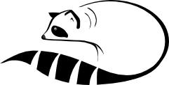 Raccoon