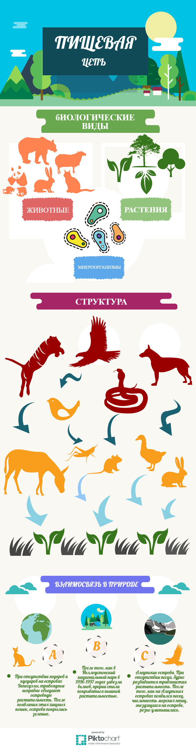 Инфографика