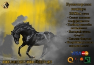 BHBet Календарь1