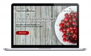 Концепция landing page по продаже черешни онлайн