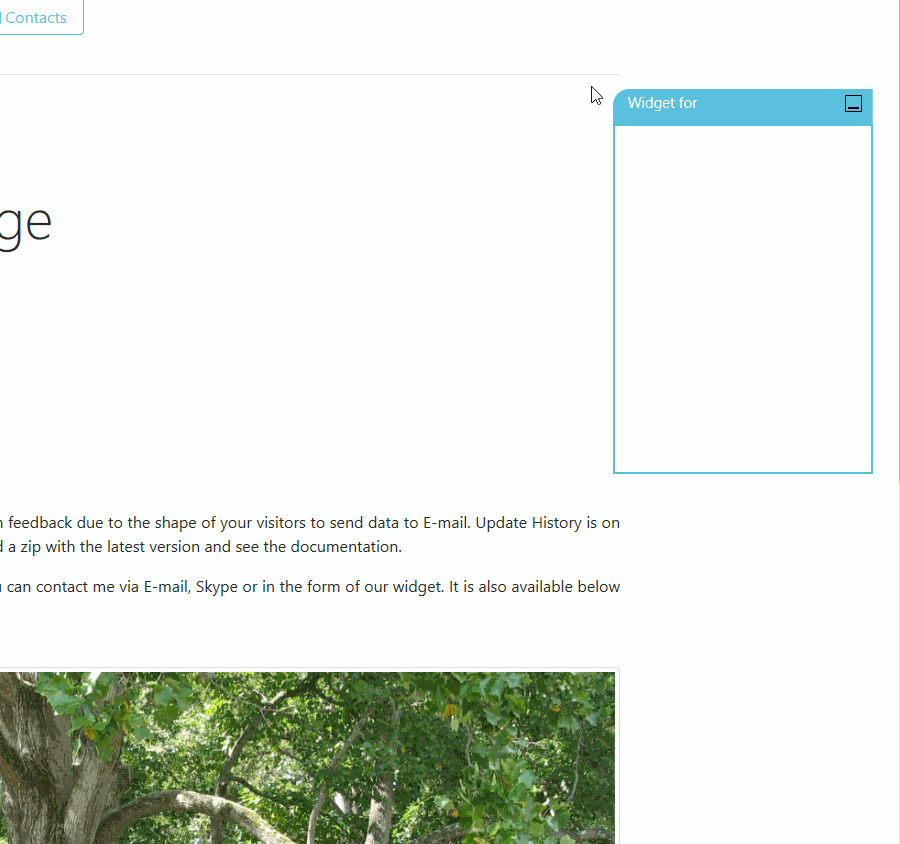 CSS widget 