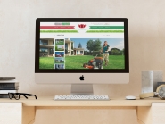 AVT services