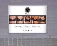 ПУБЛИЧНЫЙ ДОМ AMORET
