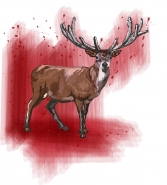 digital deer