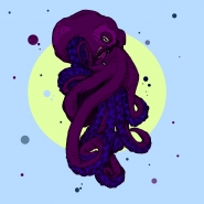 octopus dg