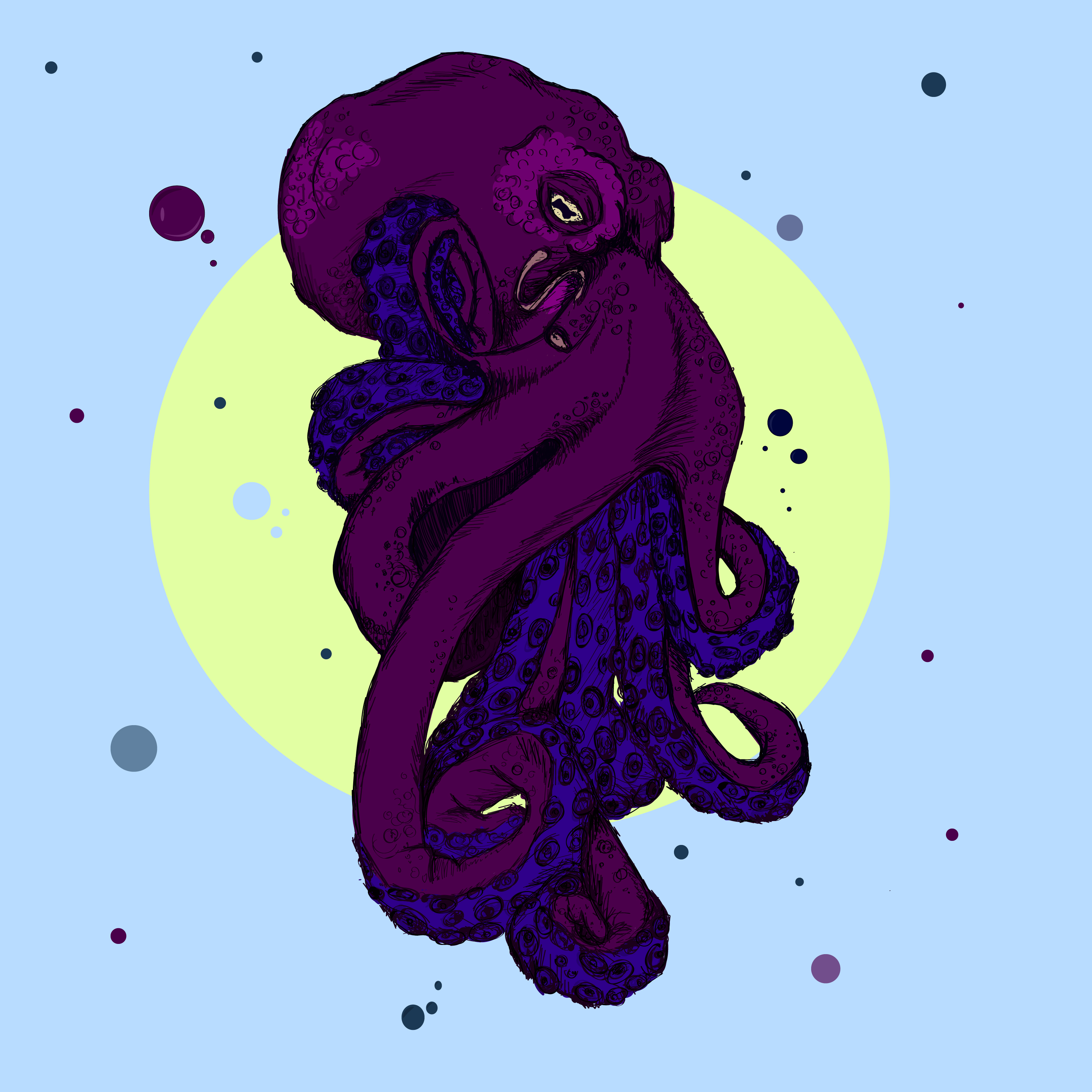 octopus dg