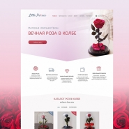 Роза в Колбе