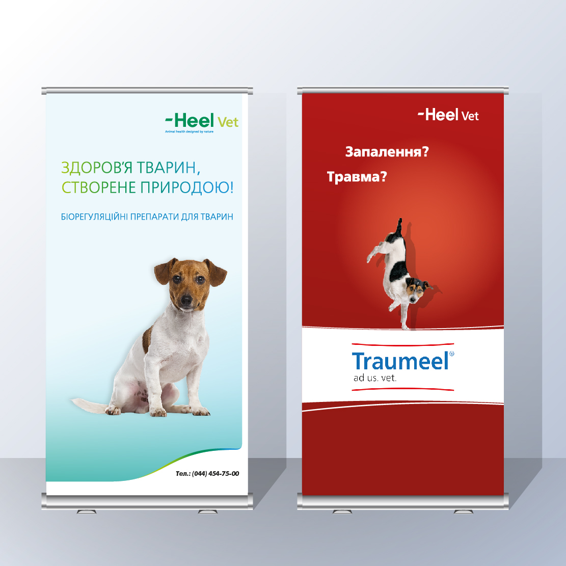 Roll ups for veterinary pharmaceutical company