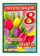 Листовка к 8 марта для ТЦ ЭпицентрК