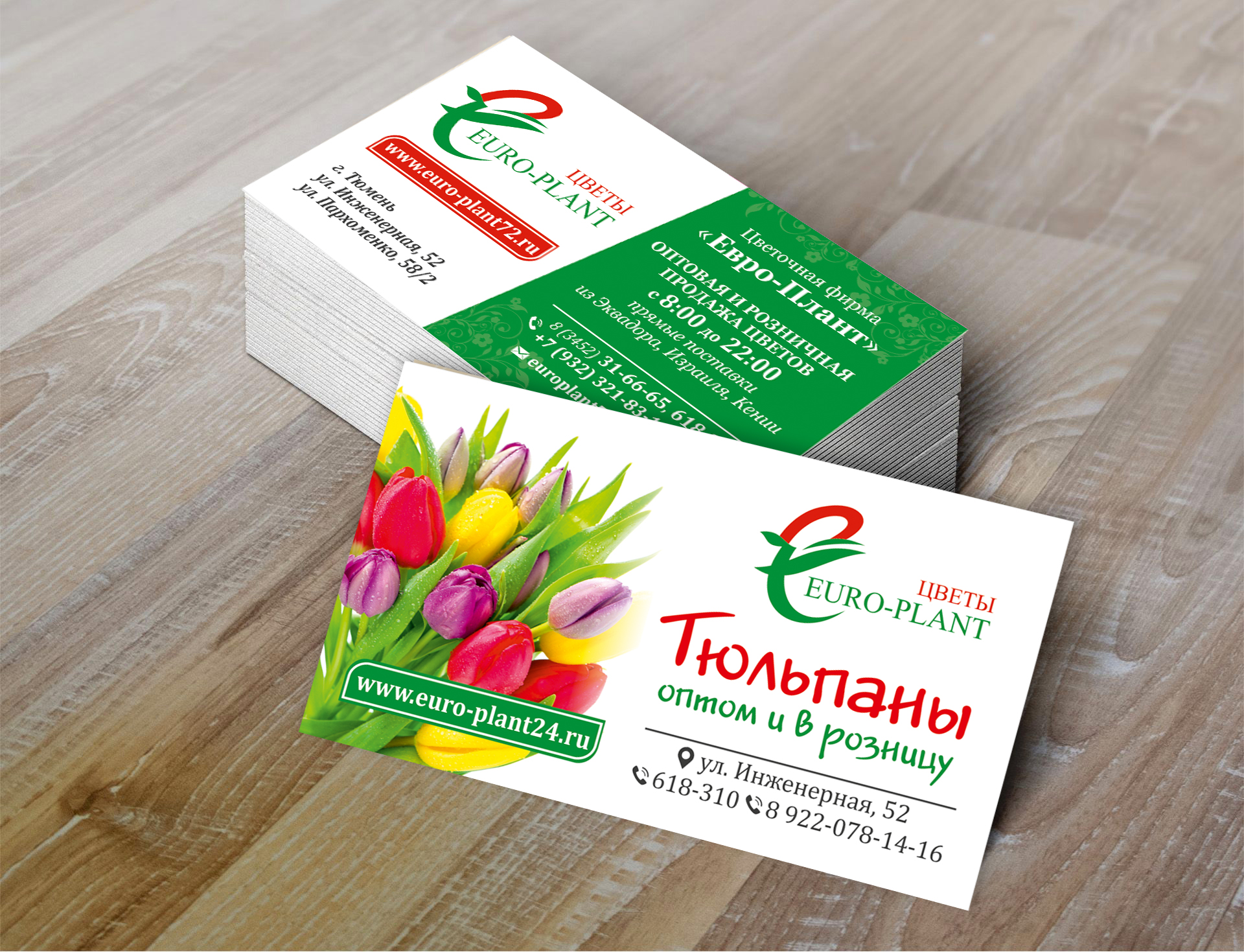 Euro-plant_4+4_90Х50