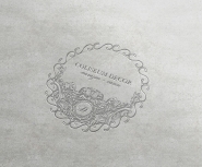 Creating a logo for the salon