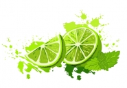  lime