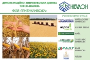 Баннер