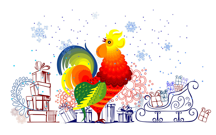  cock 