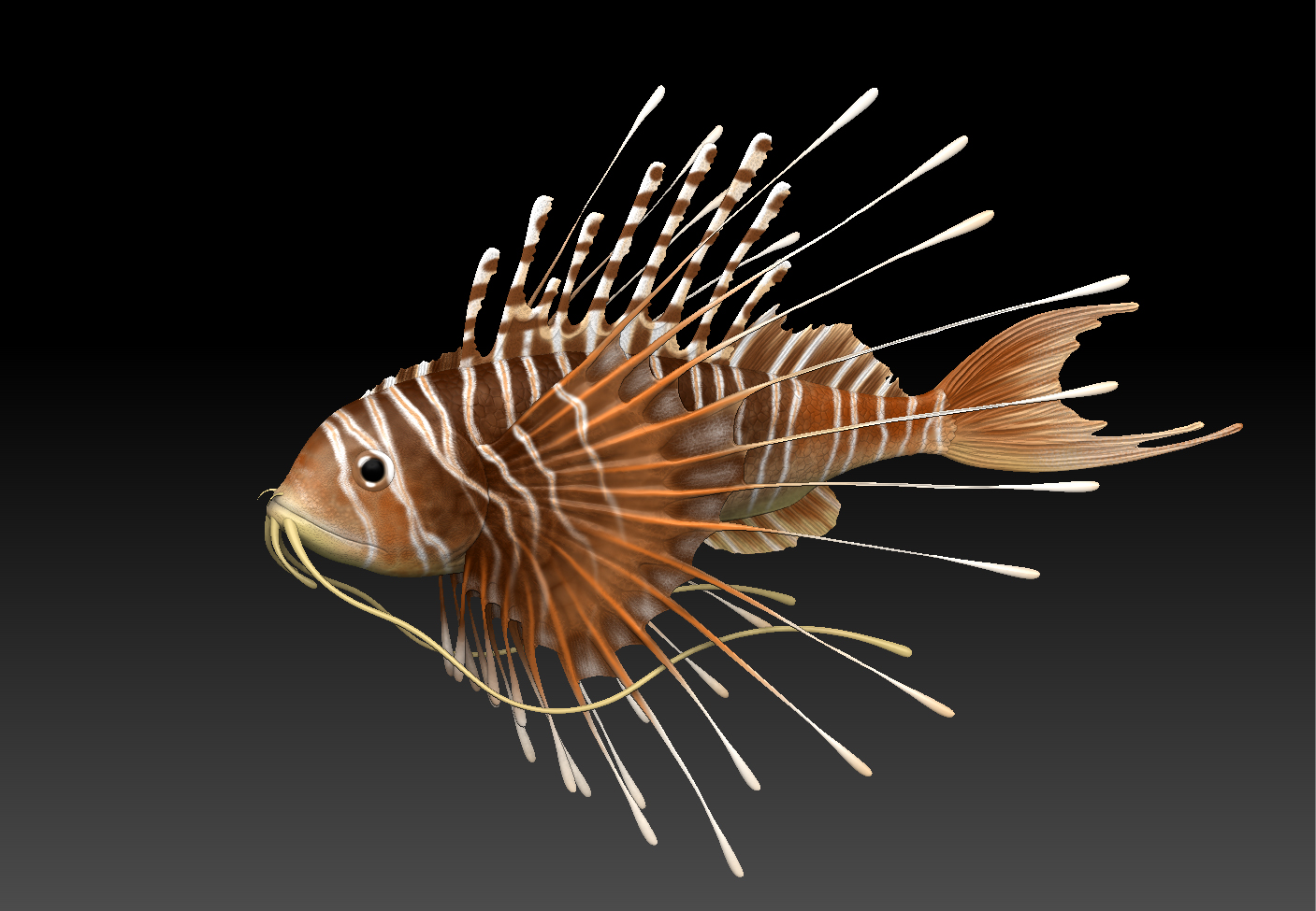 Fish