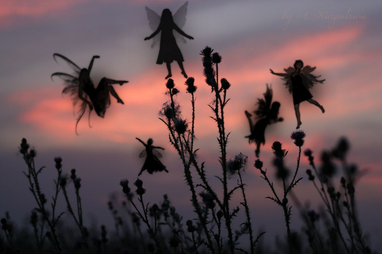 Fairies