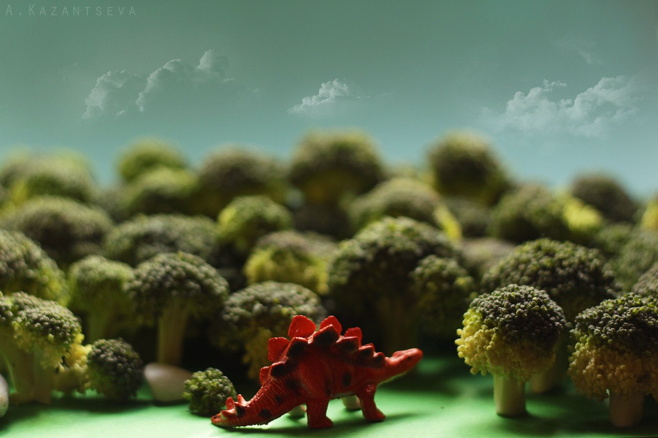 Broccoli forest