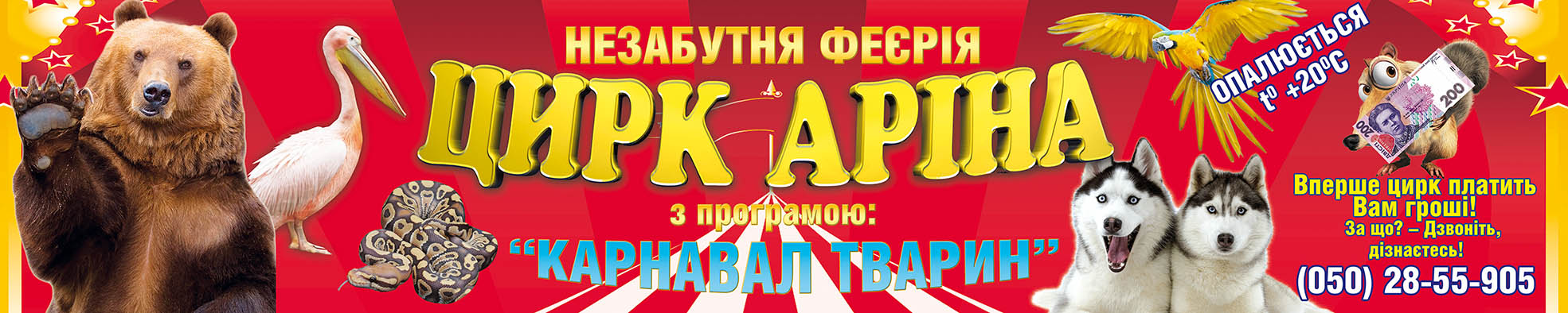 цирк растяжка