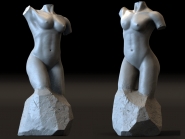 Female torso