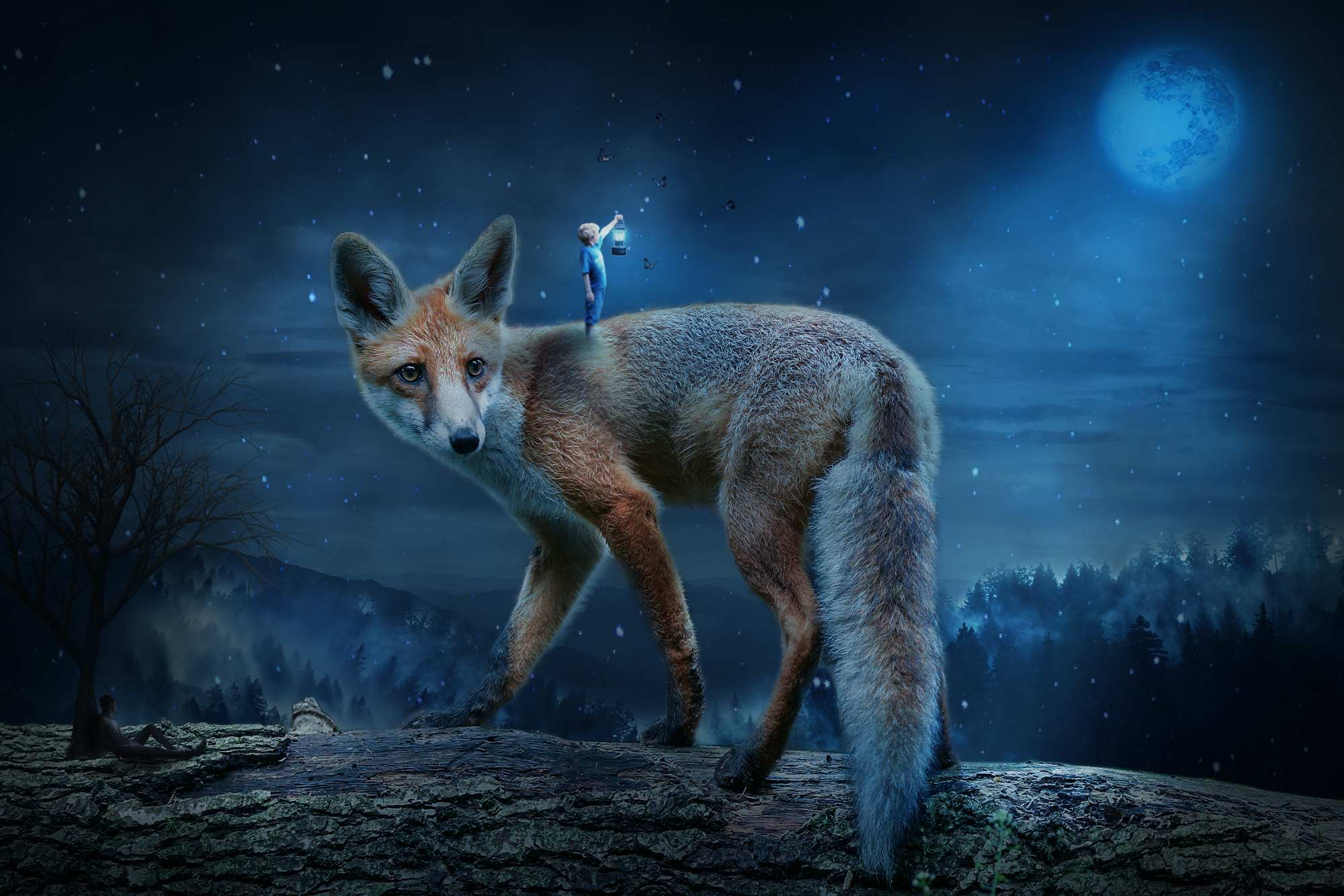Fox