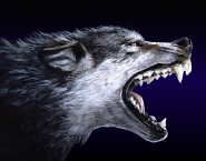 wolf_low poly