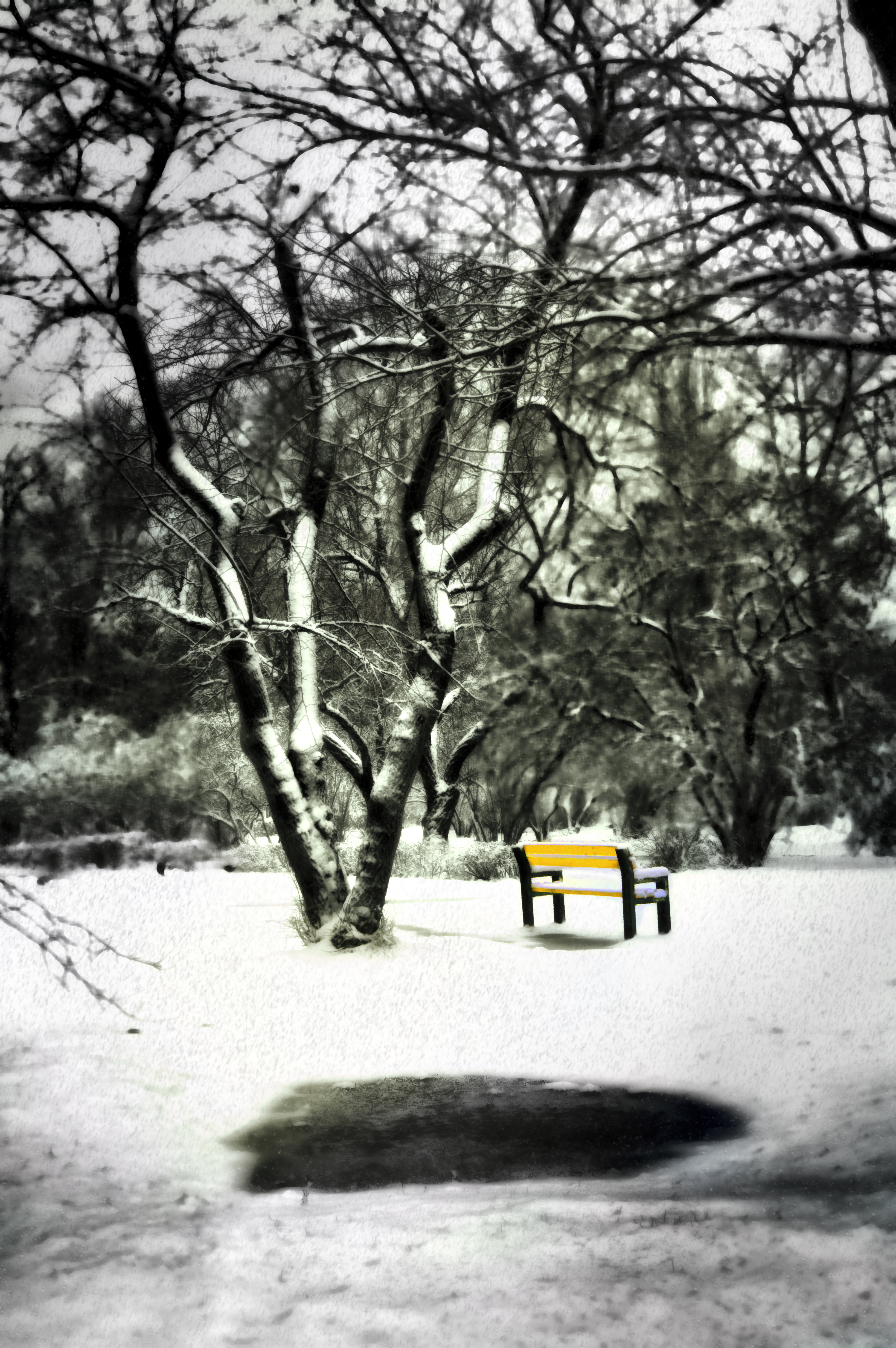 Etude #160117DSC0254.